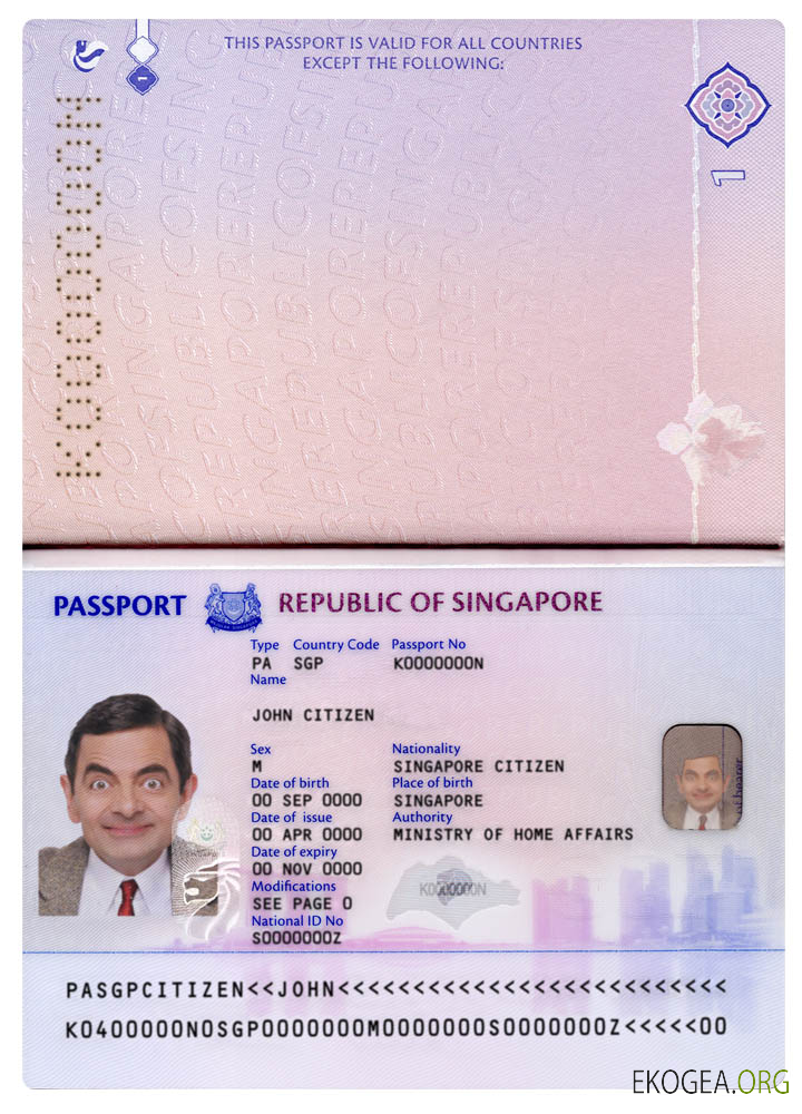 Nouveau pass pour Singapour (2017+)
